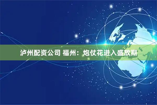 泸州配资公司 福州：炮仗花进入盛放期