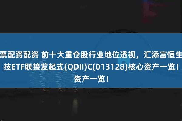 股票配资配资 前十大重仓股行业地位透视,汇添富恒生科技ETF联接发起式(QDII)C(013128)核心资产一览!